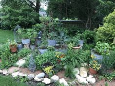 a garden filled with lots of different types of plants