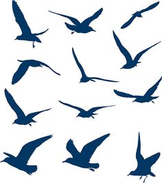 a flock of birds flying in the sky