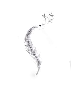 Fine Line Crow Tattoo, Dreams Tattoo Ideas, Tattoo Plume, Red Poppy Tattoo, Bird Silhouette Tattoos, Ankle Tattoo Ideas, Small Bird Tattoos, Feather With Birds Tattoo, Bird Tattoos For Women