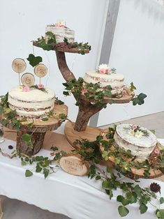 a table topped with three cakes covered in frosting and greenery next to a mirror