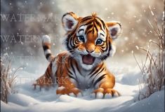 a baby tiger sitting in the snow with its mouth open and eyes wide open,