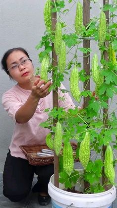 a woman kneeling down in front of a potted plant with green leaves on it