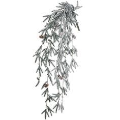 an evergreen branch with pine cones hanging from it's branches on a white background