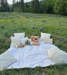 a blanket and pillows are laid out on the grass in front of a wooded area