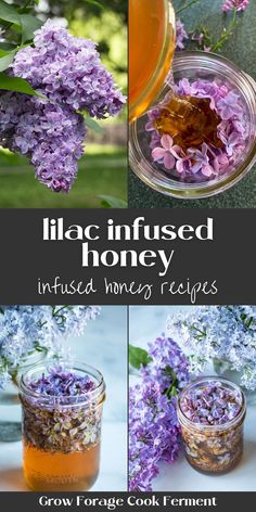 lilac infused honey recipe in mason jars