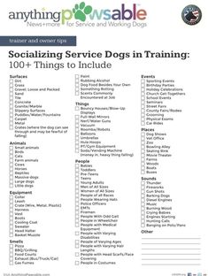 a printable socializing service dog training checklist for dogs with the words socializing service dogs in training