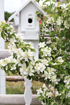 a white birdhouse sitting on top of a tree next to a bush with white flowers