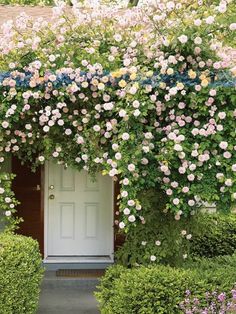 a white door surrounded by pink and blue flowers in front of a green hedge covered with shrubbery