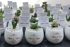 there are many potted plants on display in this tableclothed place card holders