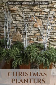 christmas planters with trees in them and text overlay that reads more exterior christmas decorating ideas