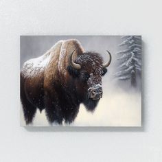 a bison standing in the snow with trees behind it and falling snow on its face