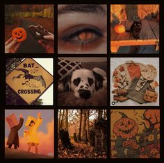 a collage of pictures with pumpkins, bats and cats