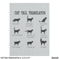 the silhouettes of cats and dogs are shown in different ways, including one that says i'm scared to see you