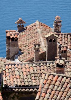 an old roof with two bell towers on it and water in the backround