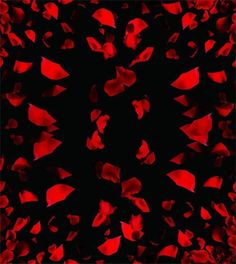 red and black abstract shapes on a black background