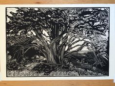 a black and white drawing of a tree