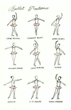 an image of ballet positions for the ballerinas to learn in their own hands