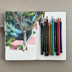 several colored pencils are next to an open notebook with a drawing of a tree