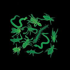 green lizards glow in the dark on a black background with white lettering that reads,'2012