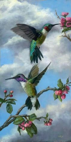 two hummingbirds sitting on top of a tree branch with pink flowers in the background