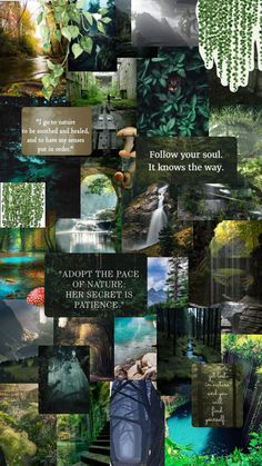 a collage of images with words and pictures on them, including trees, water, plants