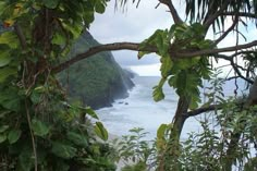 the ocean is surrounded by lush green trees