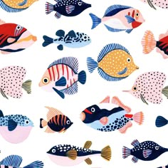 many different colored fish on a white background