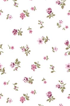 a white background with pink flowers and green leaves