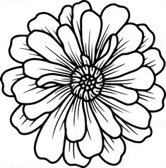 a black and white flower on a white background