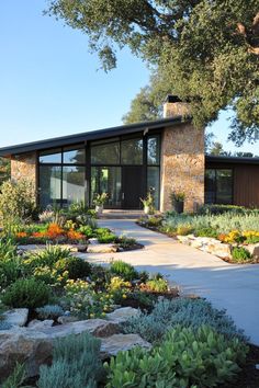 a house that is surrounded by plants and rocks