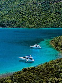 two boats in the water near some trees