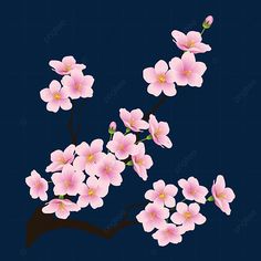 pink flowers are blooming on a dark blue background