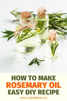 Homemade Rosemary Oil, Diy Rosemary Oil, Rosemary Oil For Skin, Make Rosemary Oil, How To Make Rosemary Oil, Diy Rosemary Essential Oil, How To Make Thyme Oil, Rosemary Oil Benefits