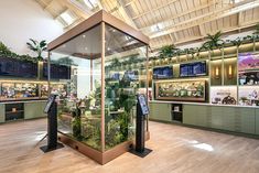 the inside of a store with plants and televisions on display in glass cases,