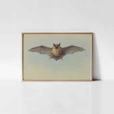 a painting of a bat flying in the sky