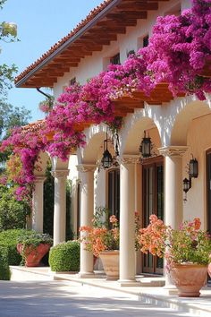 an outdoor area with potted plants and flowers on the side of the building,