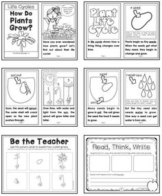 printable worksheet for teaching about plants and how to use them in the classroom