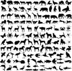 the silhouettes of different animals and birds