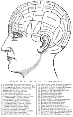 an old diagram of the human head with different sections labeled in each section, including the brain