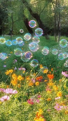 soap bubbles are floating in the air over flowers and grass with trees in the background