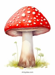 a painting of a red mushroom with white dots on it's cap and green grass