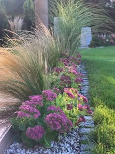 some purple flowers and green grass in a flower bed on the side of a house