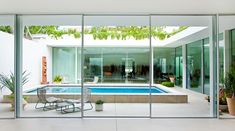 an indoor swimming pool surrounded by glass walls and potted plants in front of it