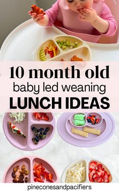 a baby eating lunch with the words 10 month old baby led weaning lunch ideas