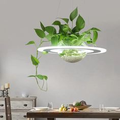 a potted plant hanging from the ceiling above a dining table with plates and utensils on it