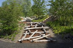 a bunch of logs that are laying on the ground