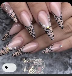 Pointed Nail Designs, Leopard Print Nail Art, Uñas Animal Print, Halo Nails, Leopard Print Nail, Print Nail Art, Animal Print Nails Art, Leopard Print Nails, Pointed Nails