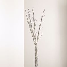 there is a tall vase with branches in it on the floor next to a wall