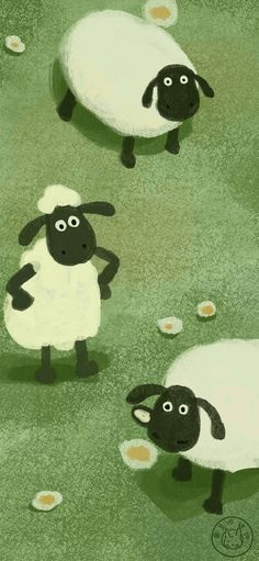 three black and white sheep standing on top of a grass covered field next to eggs