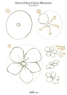 how to draw cherry blossoms step by step